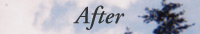 �A�t�^�[�ւ̃����N�{�^��